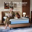 Novilla Cooling 7-Zones Support Pocket Sprung Mattress-124802933-124802936