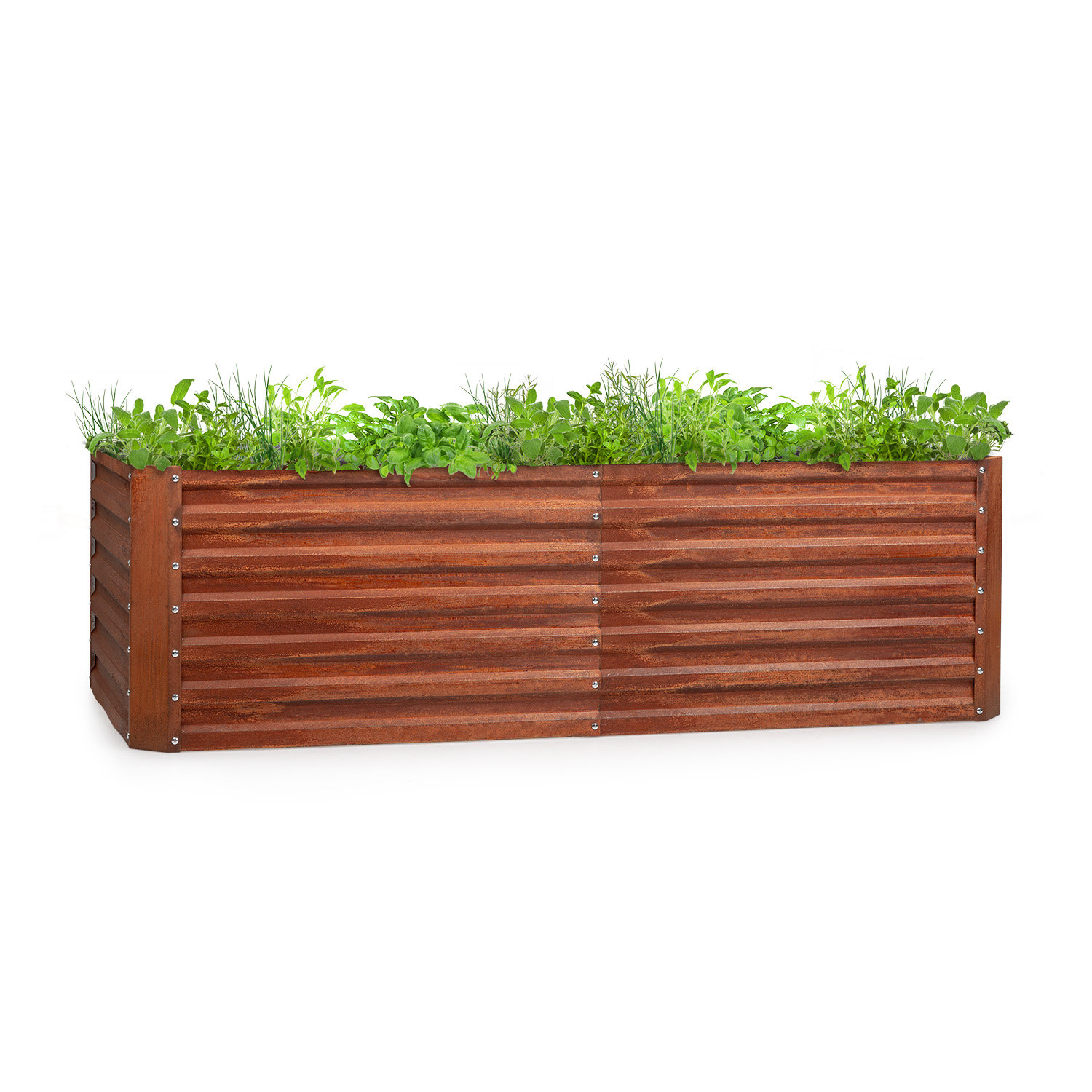 Raised bed outlet wayfair