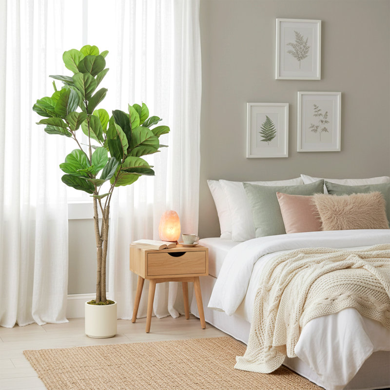 150cm Plant