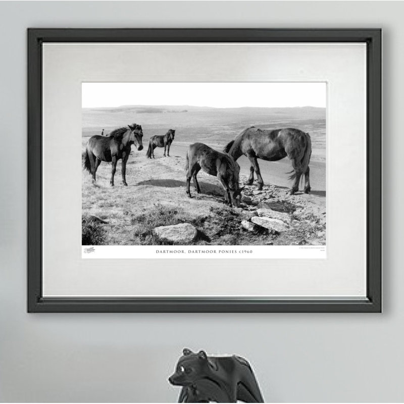 Dartmoor, Dartmoor Ponies C1960 - Single Picture Frame Print, 60cm H x 80cm W x 2.3cm D