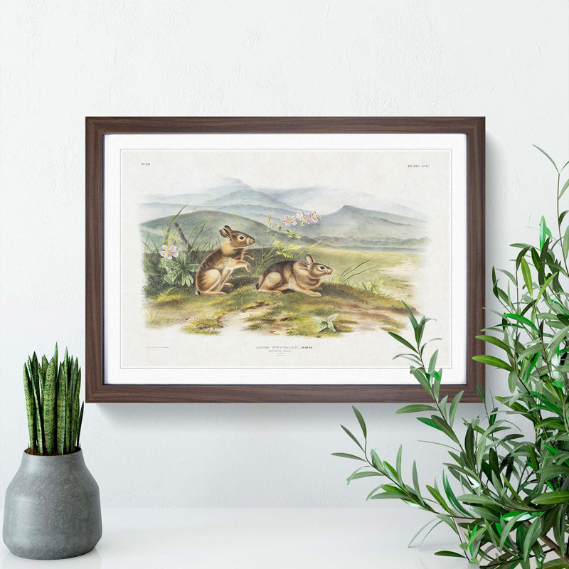 Two Hares by J.W. Audubon - Picture Frame Painting Print, 48cm H x 65cm W x 2cm D, Walnut Framed