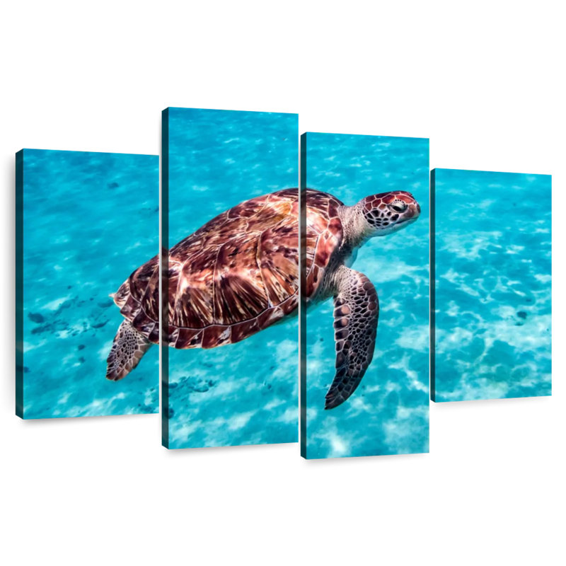 Brampt Red Turtle, 14" H x 24" W