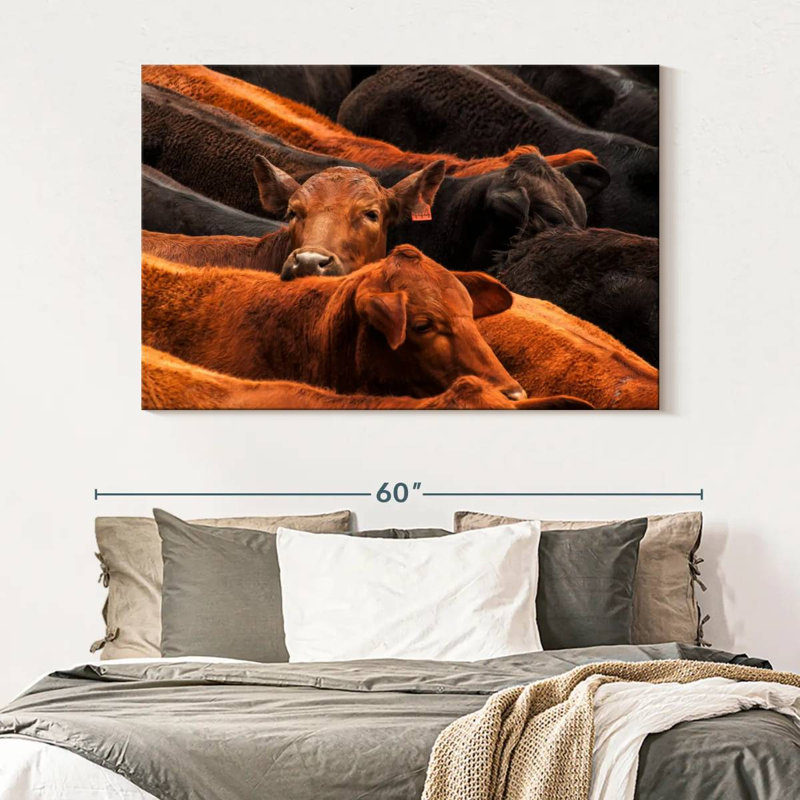 Brampt Beef Cattle, 34" H x 51" W