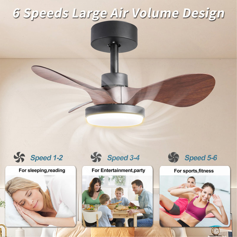 Petit ventilateur de plafond noir 24 po avec télécommande, Brun