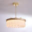 Lustre moderne 24 po DEL en verre avec chaîne réglable