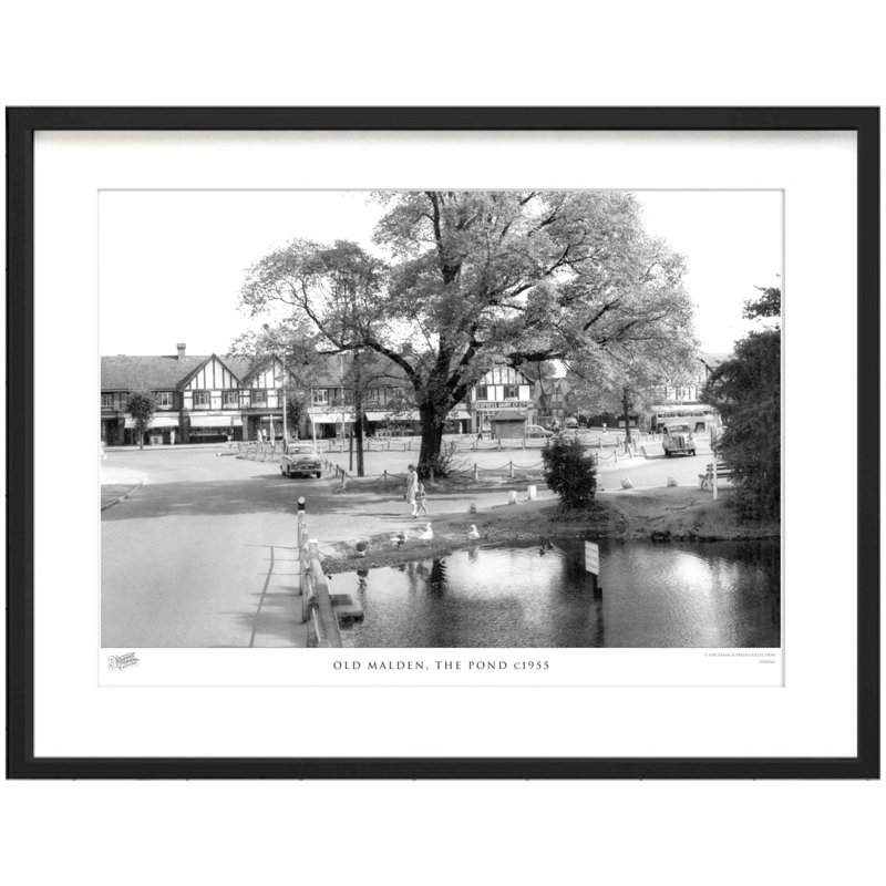 Old Malden, The Pond C1955 by Francis Frith - Single Picture Frame Print, 40cm H x 50cm W x 2.3cm D