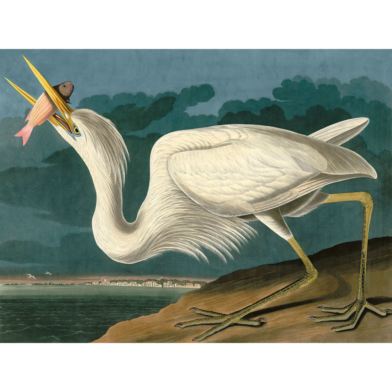 Great White Heron by John Audubon - 1 Piece Painting on Canvas, 70cm H  x 100cm W  x 4cm D