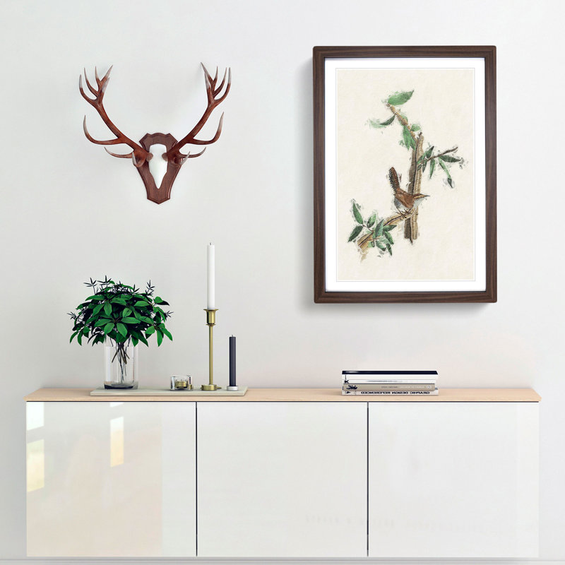 Bewicks Wren by John Audubon - Framed Print, 45cm H x 33cm W x 2cm D, Walnut Framed