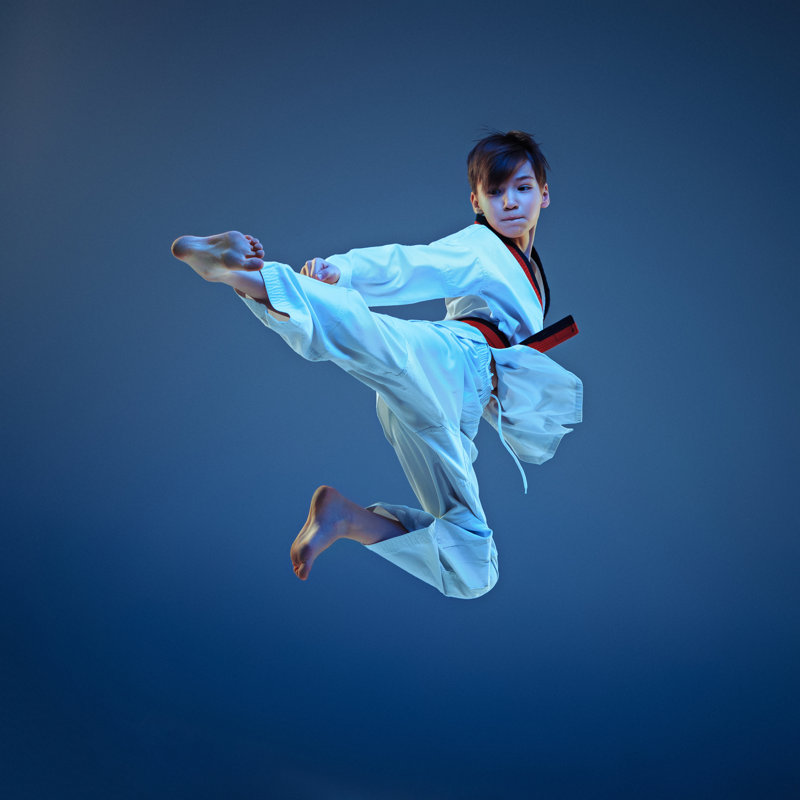 Karate by Master1305 - Wrapped Canvas Print, 30cm H x 30cm W x 3.8cm D