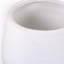 Vase blanc-579865213