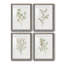 Simple Sprig I - ensemble de 4 reproductions de cadres photo-2075732655-2075732647