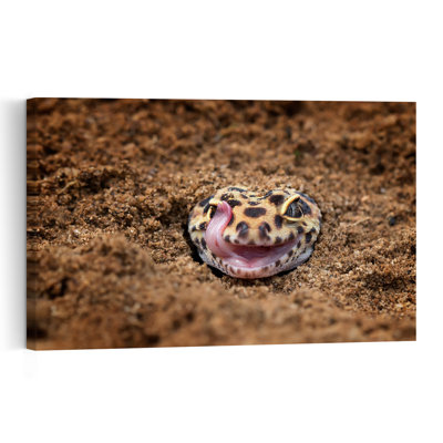 Leopard Gecko Licks Eye Abstract Contemporary Lizard Landscape Nature Wall Art Print 1 Piece Wrapped Canvas Wall Art