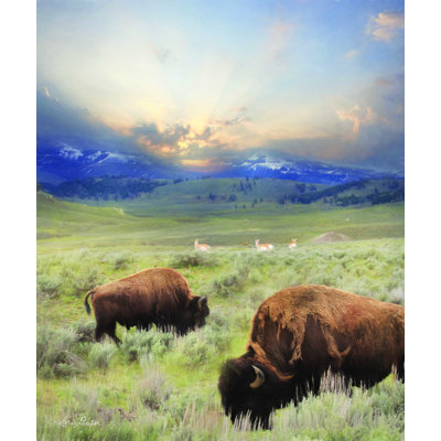 " Great American West "