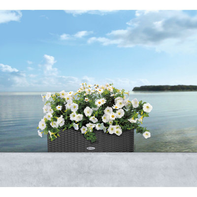 Balconera Window Box Planter