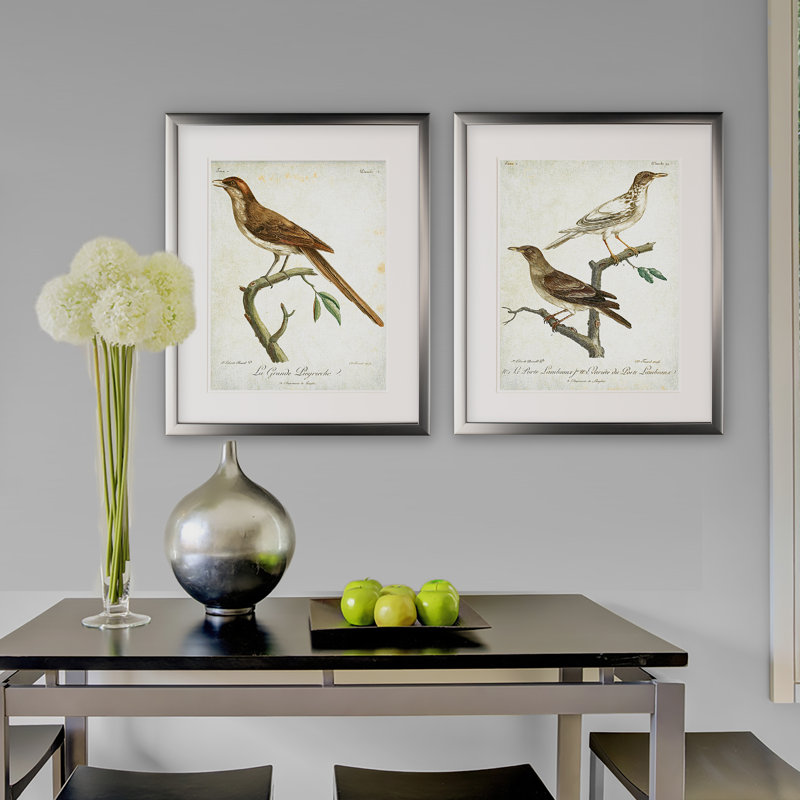 «Vintage Aviaire, croquis XIXe», ensemble de 2 reproductions de peintures à l'acrylique encadrées, Cadre argenté