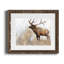 Orignal majestueux - reproduction d'art sur papier-21592115-21592121
