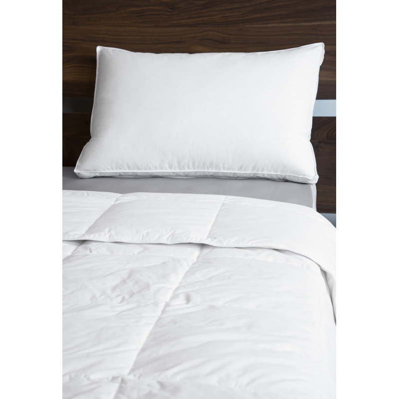 Coussin Quentin, Très grand