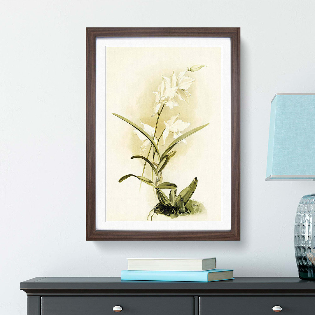 Magnolia Flowers Illustration Tab. 87 by Frederick Sander - Picture Frame Painting Print