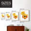 Olive's Tulips I, reproduction encadrée - bois massif