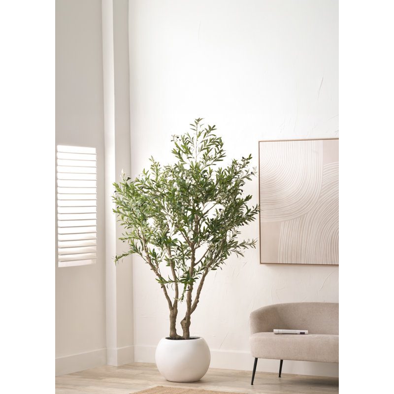 250cm Faux Tree in Cement Pot