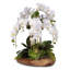Real Touch Silk Orchid Faux Floral Arrangement