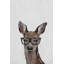 «Hippie Deer III» par Hamise, reproduction sur toile tendue-1718394
