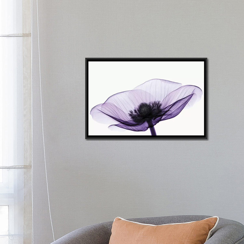 «Anemone II» par Robert Coop - reproduction de photo, Toile avec cadre noir, H 18 po x l 26 po x P 1,5 po
