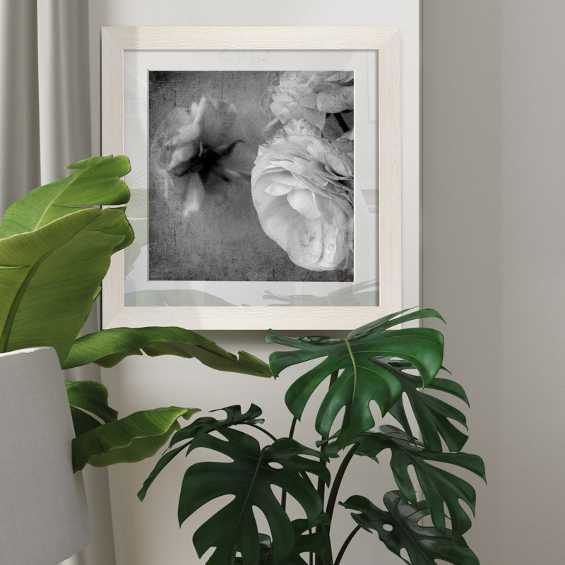 Renoncule foncé II - cadre photo, H 27,5 po x l 27,5 po x P 1,5 po, Toile avec cadre blanc, Blanc