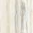 Limestone/Concrete