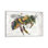«Must Bee the Honey» par Barrett Biggers - reproduction d'art