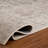 Madison 497 Performance Oriental Rug-360915293