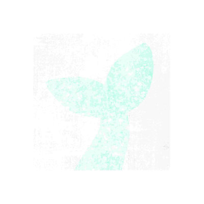 " Mermaid Tail With Texture "