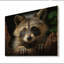 Portrait d'un raton laveur gris sur bois-1044543083