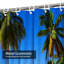 Plage tropicale, ciel bleu, magnifique côte, noix de coco, rêve exotique, Hawaï, avec 12 crochets-427824598