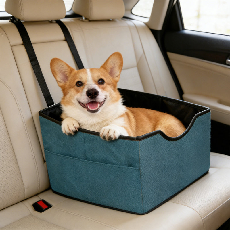 Siège d'auto portable pour siège arrière, 17,72 po x 15,75 po x 11,81 po, bleu ciel, Bleu ciel