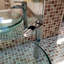 Robinet de lavabo vasque avec bonde Lulani-61426070