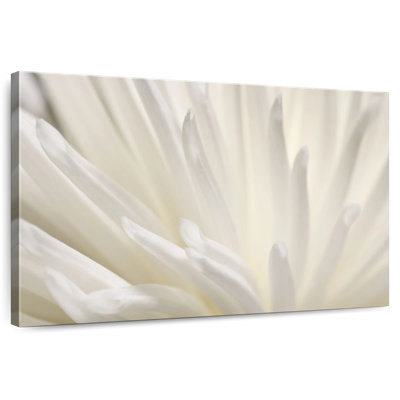 Fleur blanche Harnek