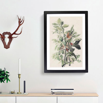 Ground Doves by John Audubon - Picture Frame Painting Print