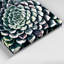 Art mural sur toile Botanical Echeveria-1715338237