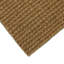 Non-Slip Outdoor Doormat