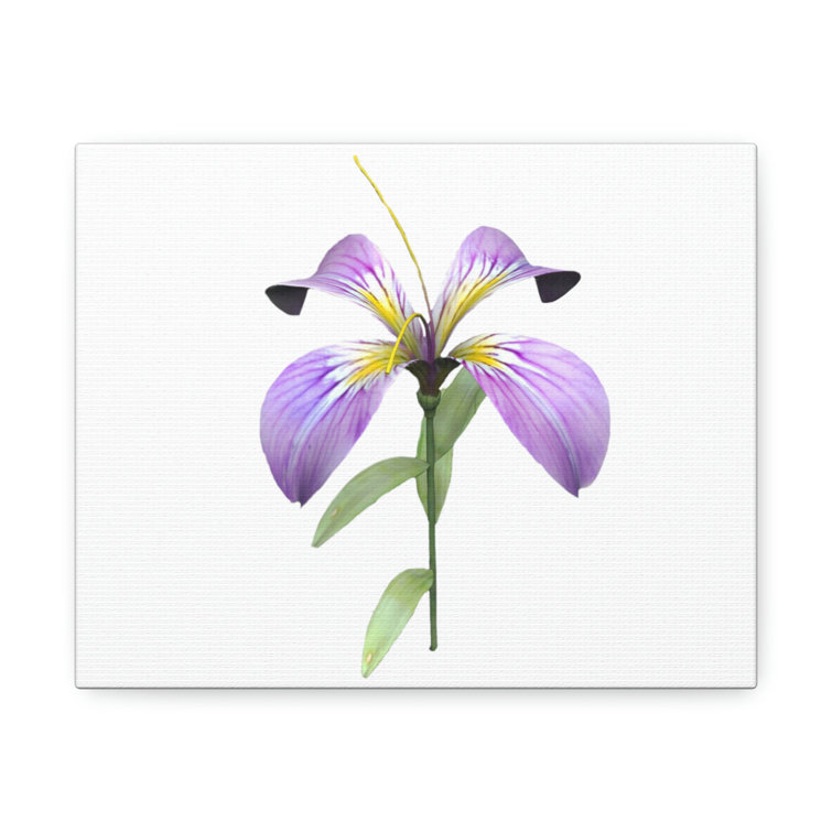Latitude Run® Purple Flower Stretched Canvas - Wayfair Canada
