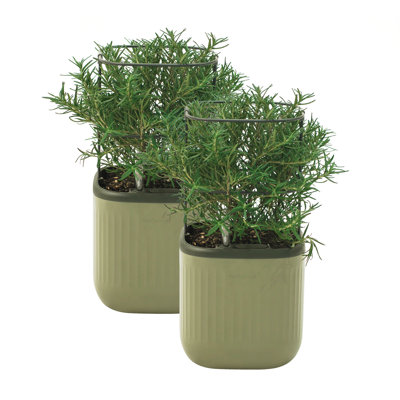 Mini Plastic Outdoor Pot Planter with Trellis