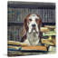 The Librarian by Eyre Tarney - Wrapped Canvas Painting-240202229