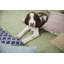 Herringbone Washable Green Rug-1824075533