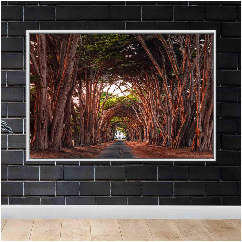 Print on Canvas, White Floater Framed, 40 cm H x 60 cm W