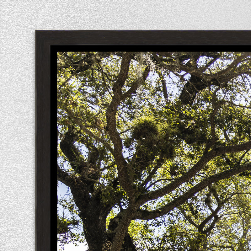 Southern Charm Print by Adam Mowery, Image Brush Gel, 25.75" H x 37.75" W