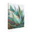 Danhui Nai «Agave Crop» par Danhui Nai-1872262988