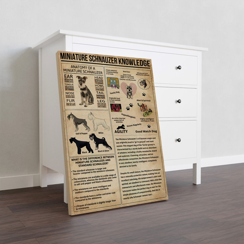 Toile tendue miniature Schnauzer, H 36 po x l 24 po x P 2 po
