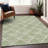 Premium Machine Washable Prisco Green Rug-1381897808