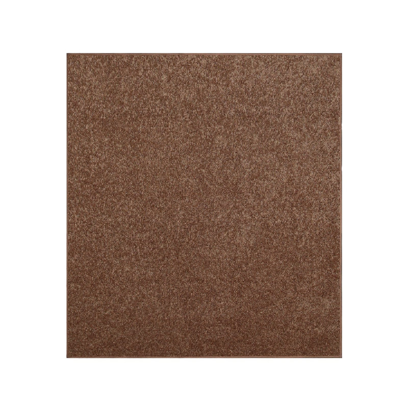 Tapis modernes de couleur unie pour animaux de compagnie et enfants, résistance aux taches et à la décoloration, chambre à coucher, salle de jeux et chambre d'enfant, événement, mariage, parfait pour le salon, la salle à 